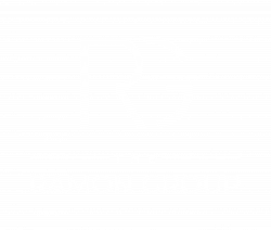 Ramon Group Logo Light
